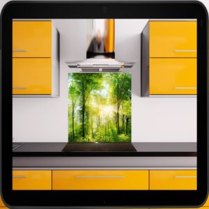 sps1069-waldpanorama-tidis-001