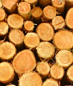 sps1070-hintergrund-holz-kopie