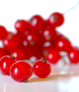 sps1075-rote-johannisbeeren-kopie