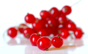 sps1081-rote-johannisbeeren-kopie