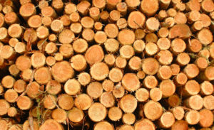 sps1086-hintergrund-holz-kopie